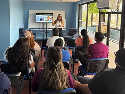 consultoría en ciberseguridad